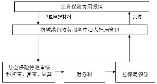 駿伯生育保險(xiǎn)保險(xiǎn)流程